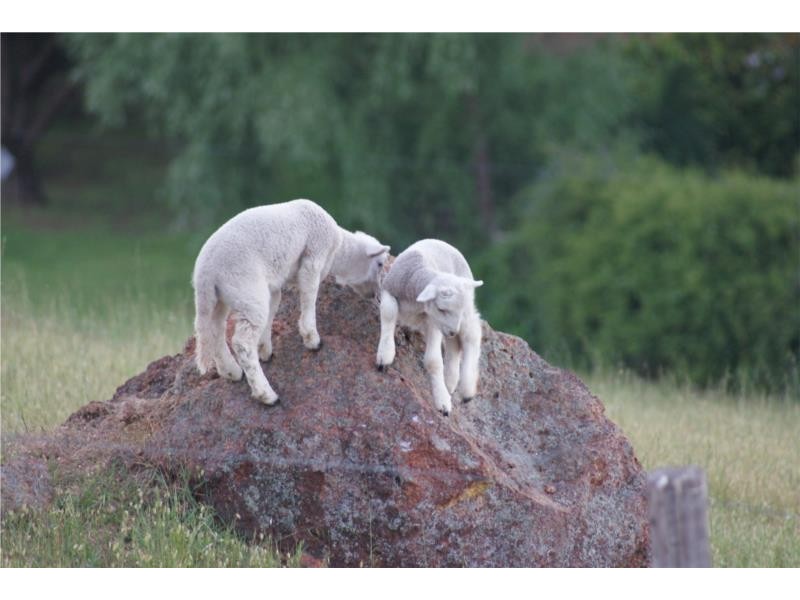 6 Smith Street, Bridgetown WA 6255