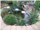1 Mallard Court, Semaphore Park SA 5019