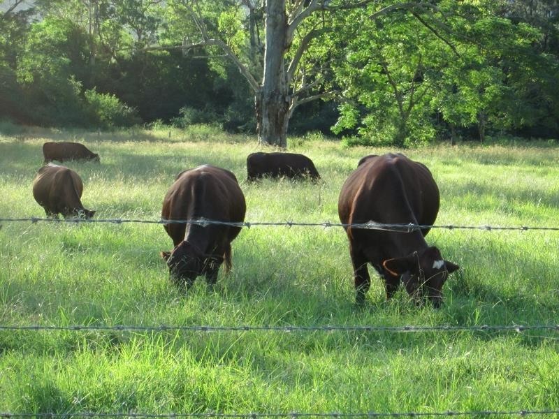 639 Toms Creek Road, Ellenborough NSW 2446