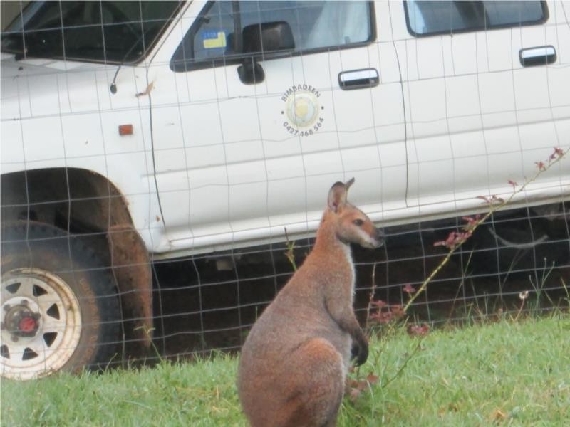 639 Toms Creek Road, Ellenborough NSW 2446