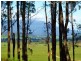 1184 Mole Creek Road, Needles TAS 7304
