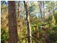 1184 Mole Creek Road, Needles TAS 7304