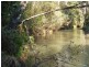 1184 Mole Creek Road, Needles TAS 7304