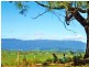1184 Mole Creek Road, Needles TAS 7304