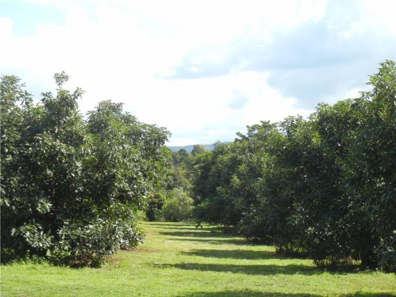 73-83 Burgess Avenue, Maleny QLD 4552