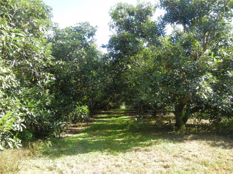 73-83 Burgess Avenue, Maleny QLD 4552