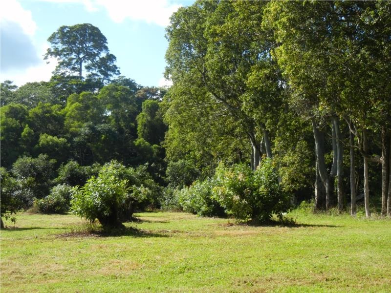 73-83 Burgess Avenue, Maleny QLD 4552