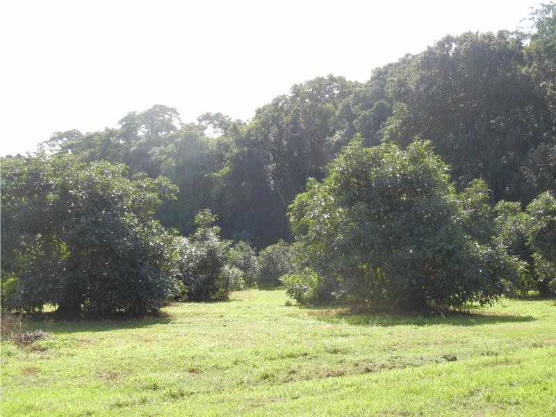 73-83 Burgess Avenue, Maleny QLD 4552