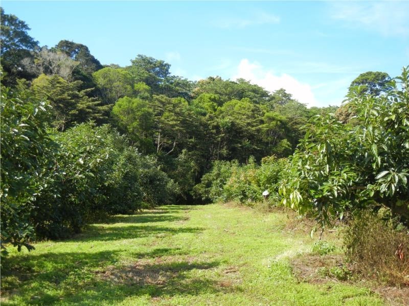 73-83 Burgess Avenue, Maleny QLD 4552