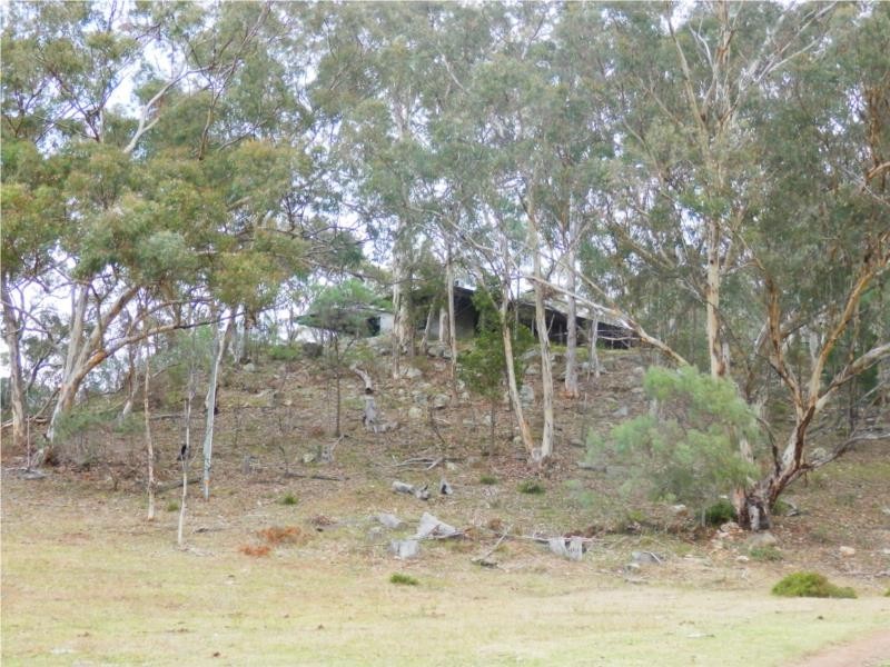 1710 Baerami Creek Road, Baerami Creek NSW 2333