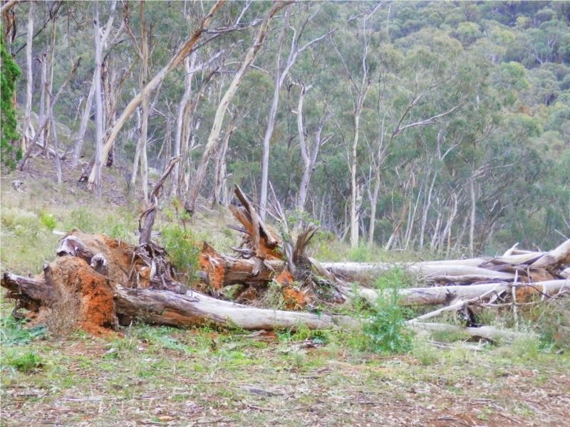 1710 Baerami Creek Road, Baerami Creek NSW 2333