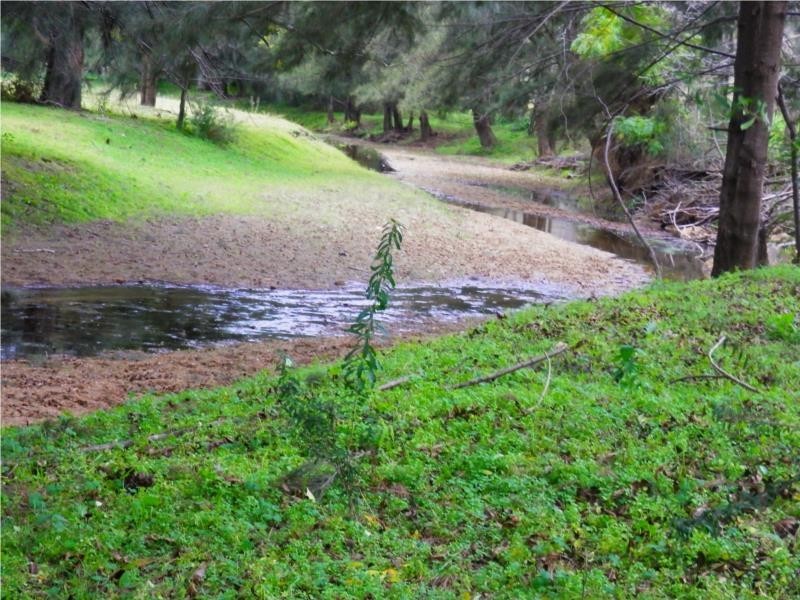 1710 Baerami Creek Road, Baerami Creek NSW 2333