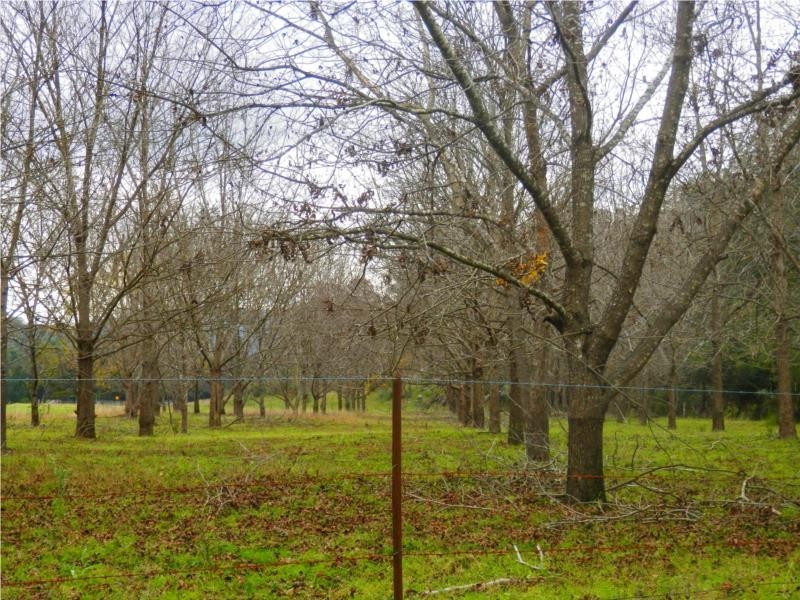 1710 Baerami Creek Road, Baerami Creek NSW 2333