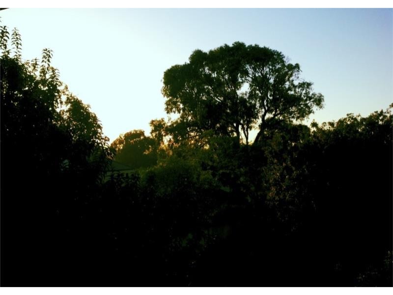 66 Francis Avenue, Karrinyup WA 6018