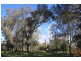 Cowra NSW 2794