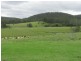 Coolongolook NSW 2423