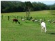 Coolongolook NSW 2423