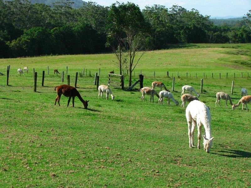 Coolongolook NSW 2423