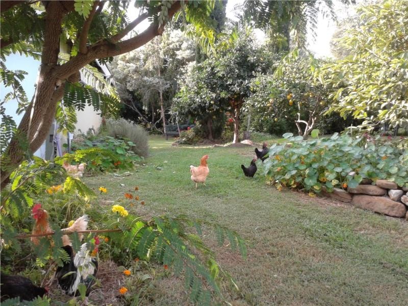 438 Milford Road, Milford QLD 4310