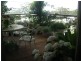 Tamborine Mountain QLD 4272