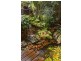 14 Nicholas Court, Bli Bli QLD 4560