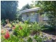 12 Apalie Drive, Modbury SA 5092