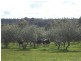1314 Osmington Road, Osmington WA 6285