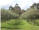 1314 Osmington Road, Osmington WA 6285
