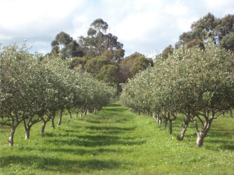 1314 Osmington Road, Osmington WA 6285
