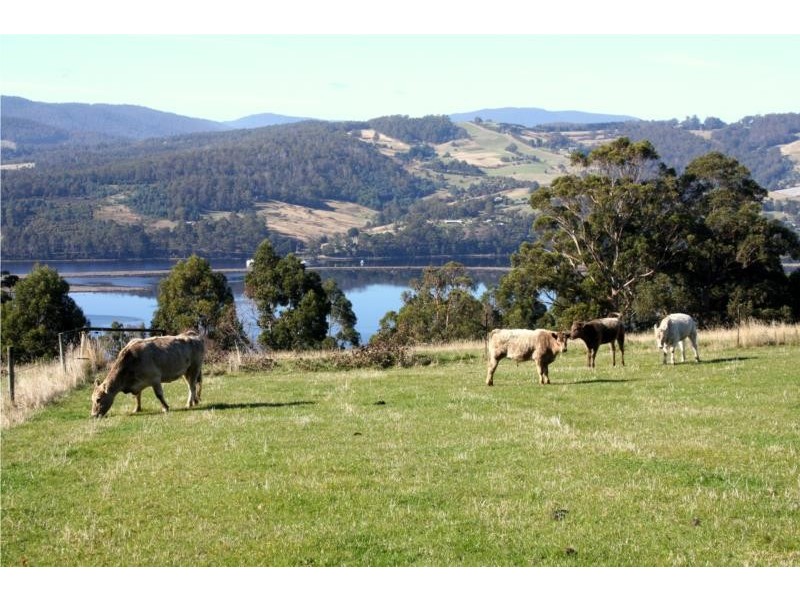 Lot 2/3 Flakemore Road, Franklin TAS 7113