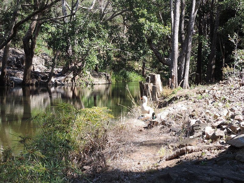 290 middle creek road, Sarina QLD 4737