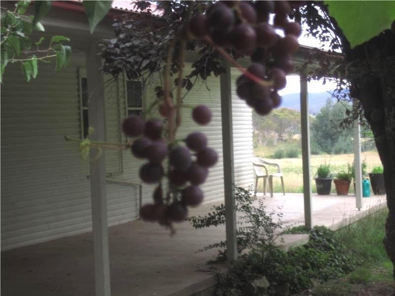 178 Williamsdale Road, Burra NSW 2620