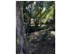 2/5 Burnham Road, Bardon QLD 4065