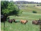 296-298 Chalkers Lane, Taralga NSW 2580