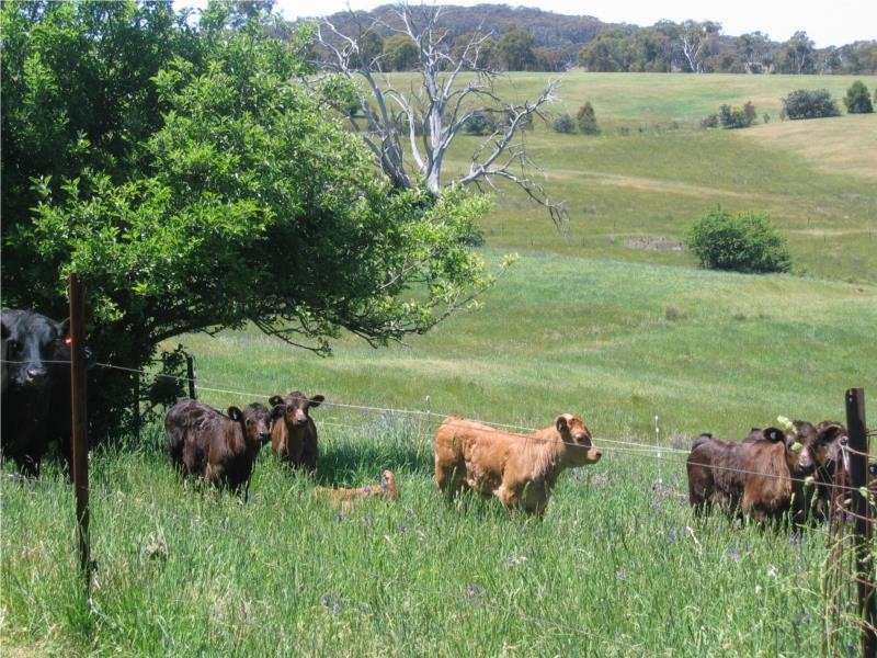 296-298 Chalkers Lane, Taralga NSW 2580