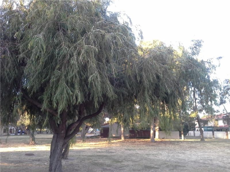 3/5 Mooloola Way, West Lakes Shore SA 5020