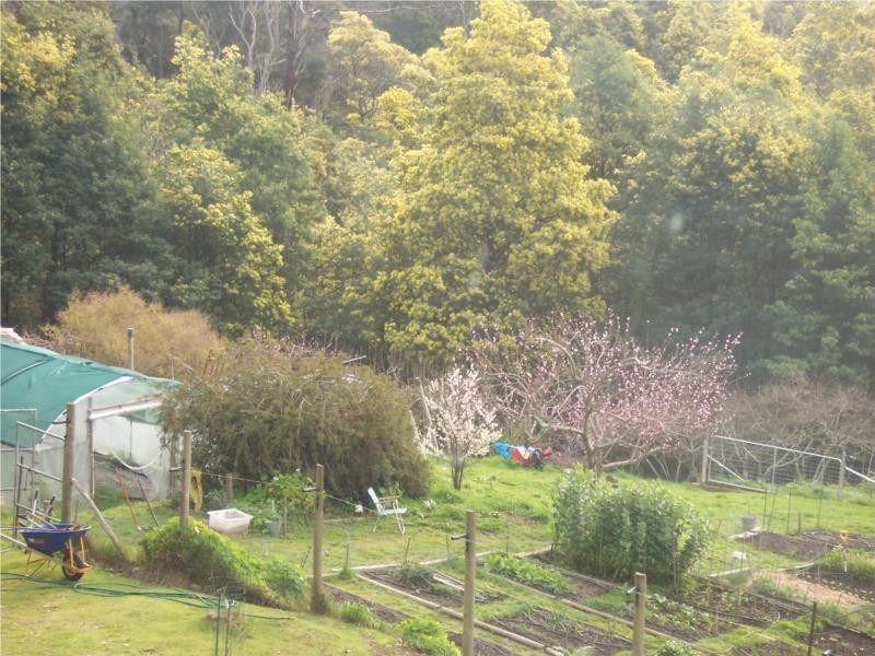 399 Brown Mountain Road, Karoola TAS 7267
