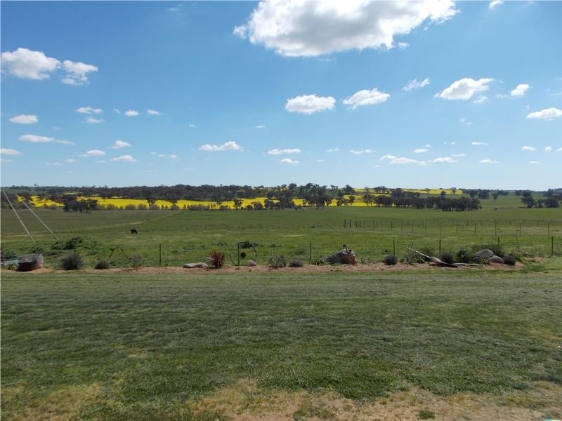 747 MAIMURU SS ROAD, Maimuru NSW 2594