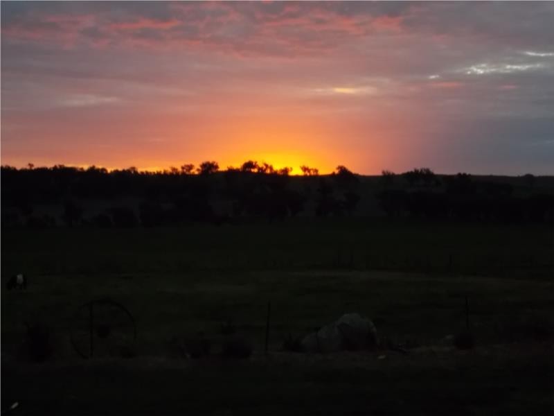 747 MAIMURU SS ROAD, Maimuru NSW 2594