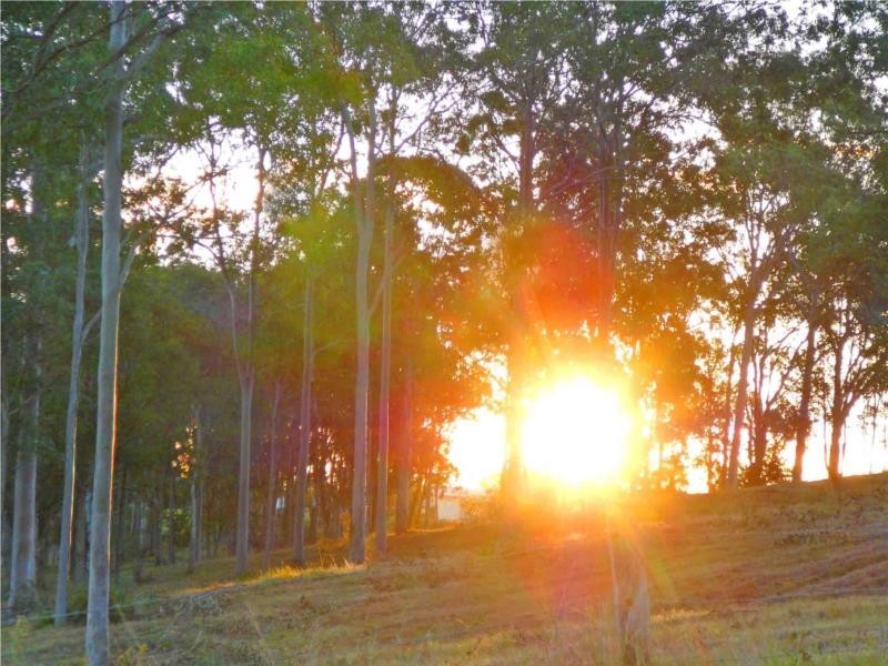 Lot 555 Barton Road, Victory Heights QLD 4570