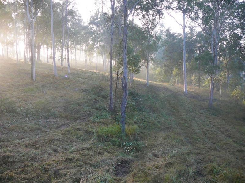 Lot 555 Barton Road, Victory Heights QLD 4570