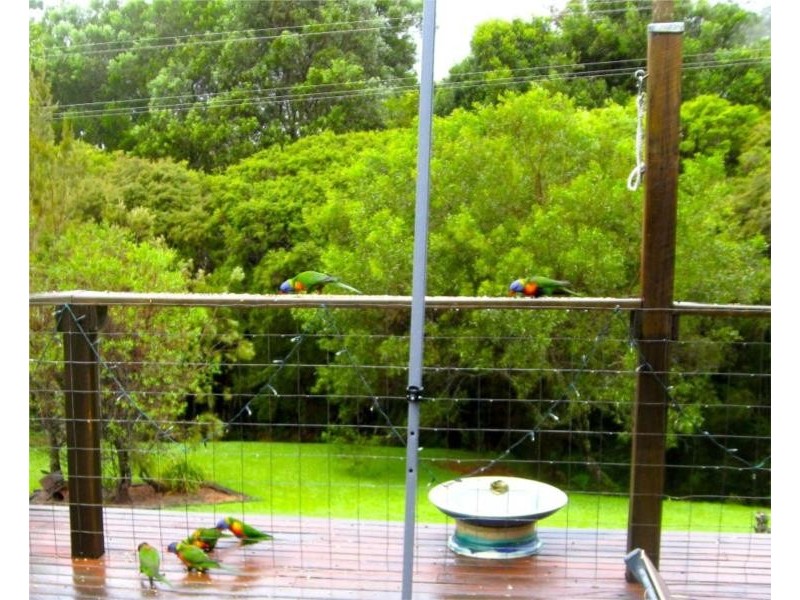 135a Pine Avenue, Ulong NSW 2450
