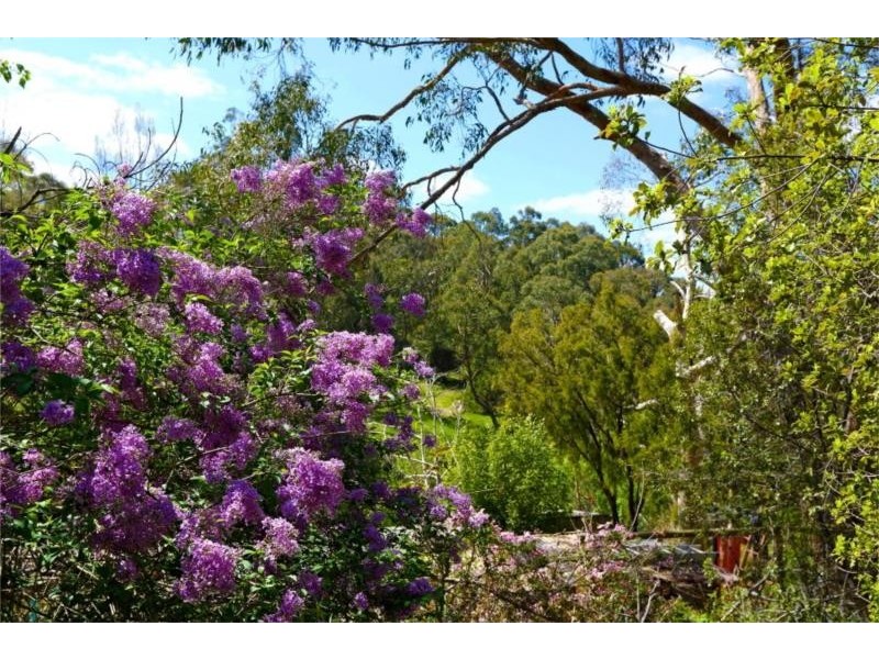 21 Woorabinda Drive, Stirling SA 5152