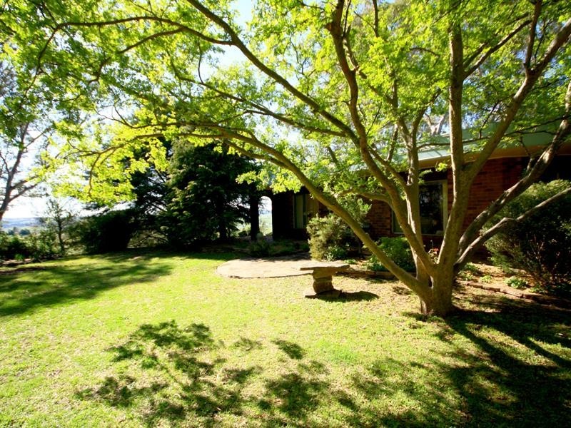 393 Grafton Street, Glen Innes NSW 2370