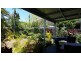 20 Murphy Street, Gordonvale QLD 4865
