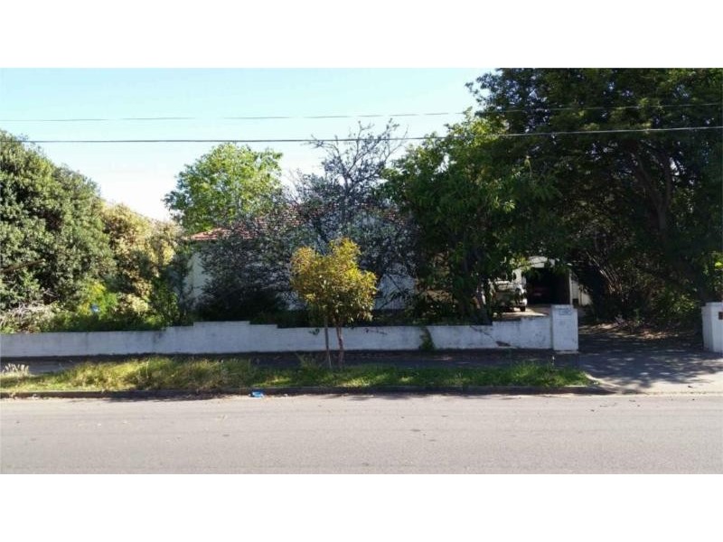 5 Myzantha Street, Lockleys SA 5032