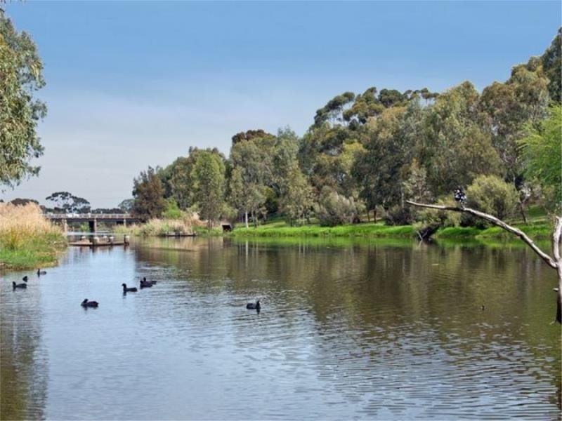 5 Myzantha Street, Lockleys SA 5032