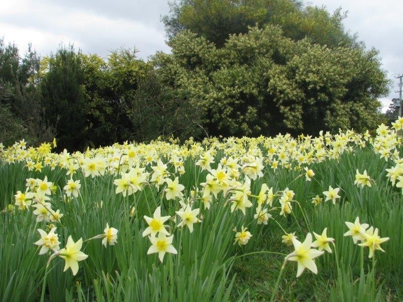 75 Draper Road, Howden TAS 7054