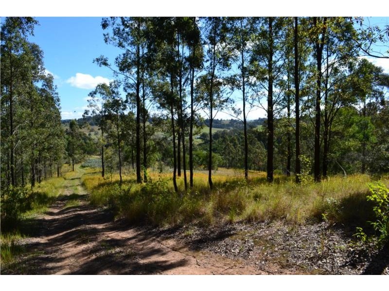 208 Moylans Road, Fosterton NSW 2420