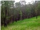 208 Moylans Road, Fosterton NSW 2420